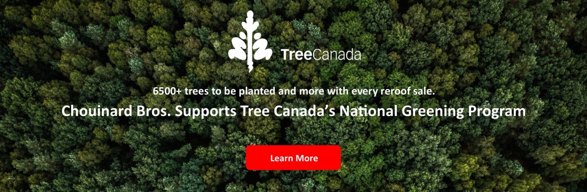 Tree Canada Logo