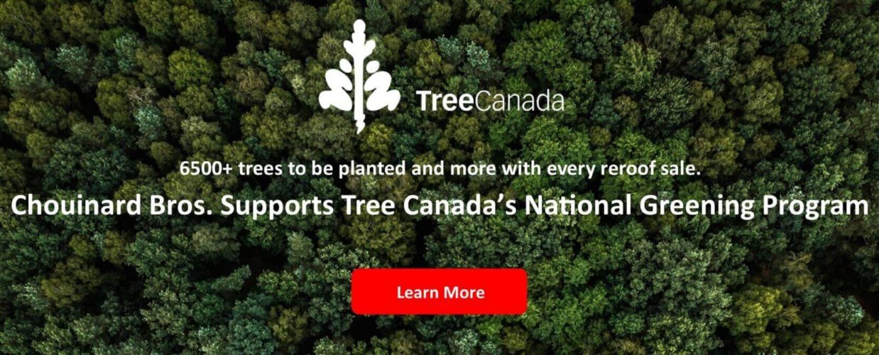Tree Canada Chouinard Bros National Greening Program Toronto