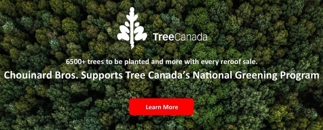 The poster of Tree Canada 6500+ trees to be plant from Chouinard Bros with Learn More button